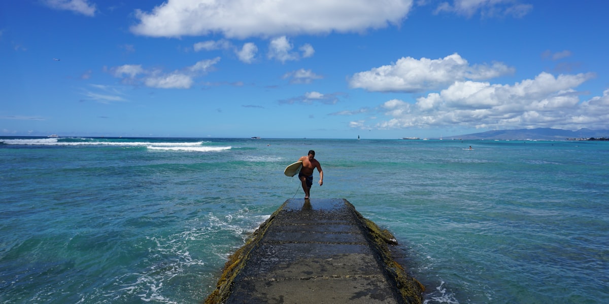 Hawaii coastal landscape
