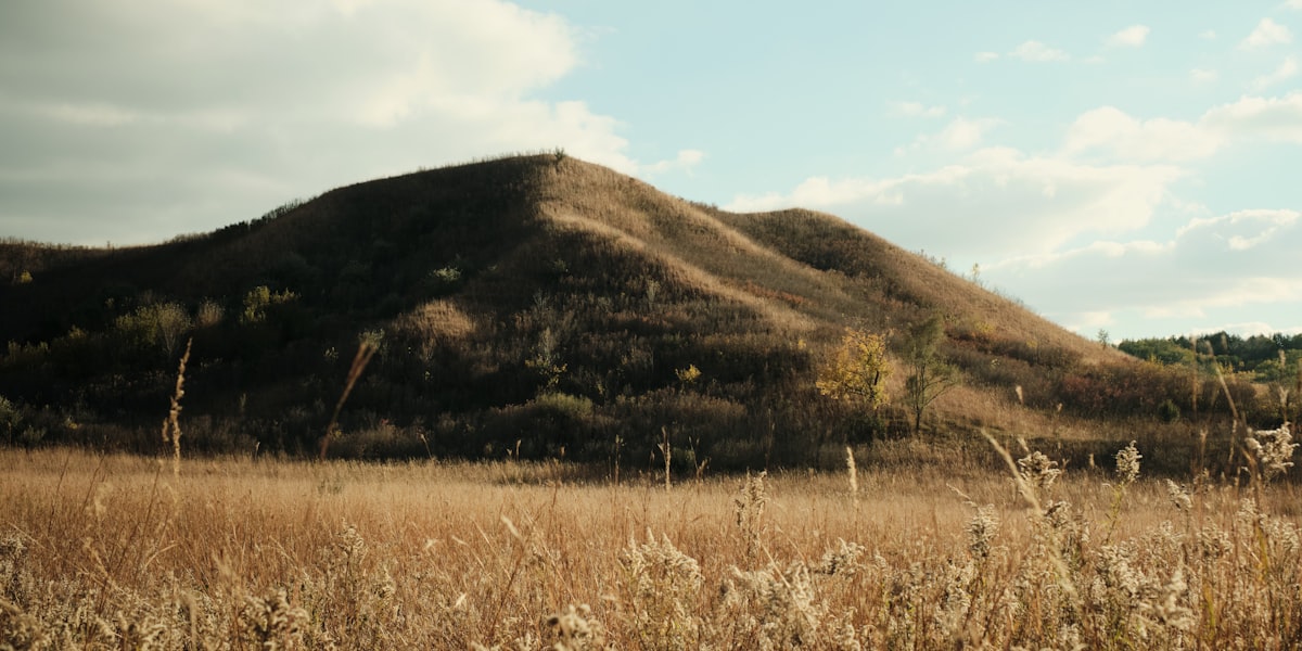 Iowa farmland landscape