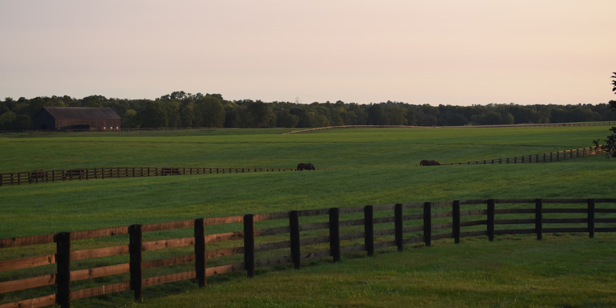 Bluegrass region, Kentucky
