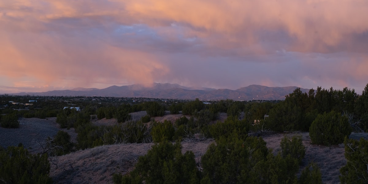 New Mexico desert landscape